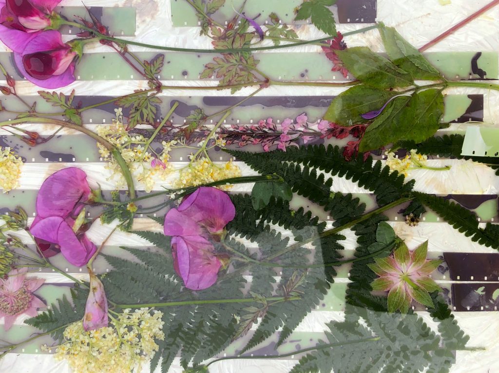 Experimental 16mm film workshop with found footage, foliage and flowers with Julia Parks & Jameela Khan (13th November)