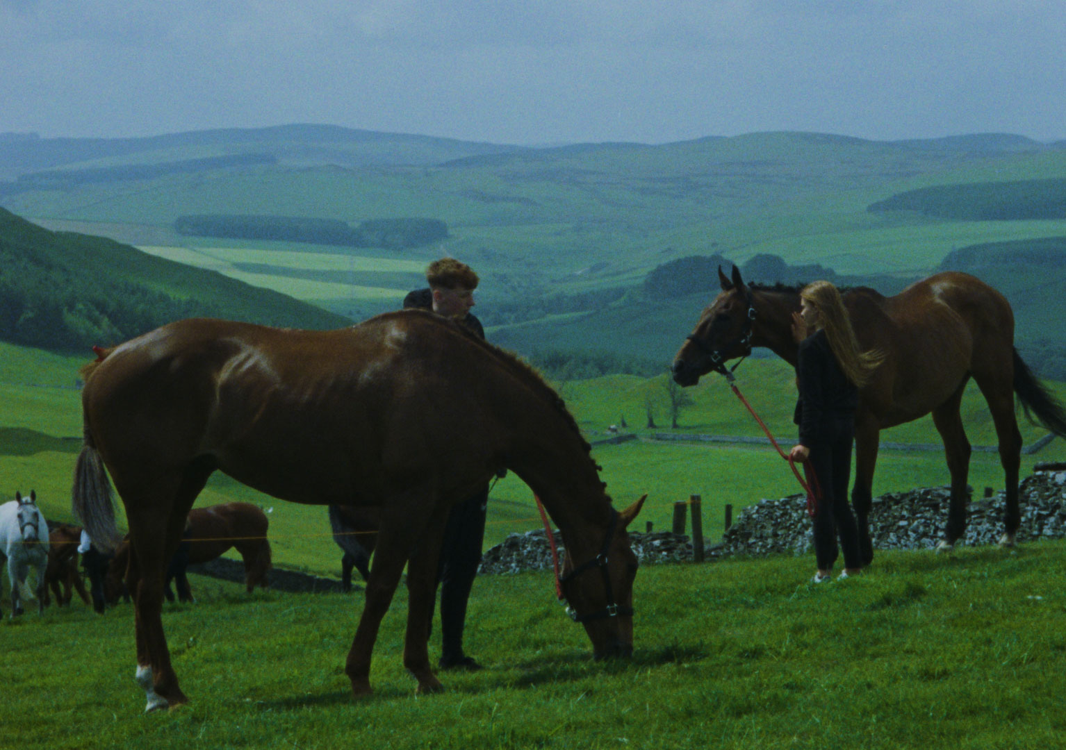 all-flesh-is-grass-film-still-07